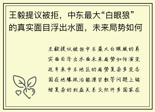 王毅提议被拒，中东最大“白眼狼”的真实面目浮出水面，未来局势如何演变？