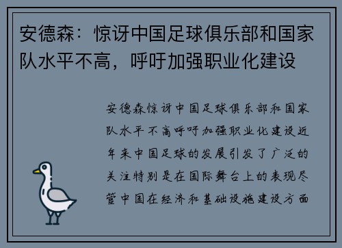 安德森：惊讶中国足球俱乐部和国家队水平不高，呼吁加强职业化建设