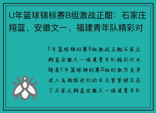 U年篮球锦标赛B组激战正酣：石家庄翔蓝、安徽文一、福建青年队精彩对决